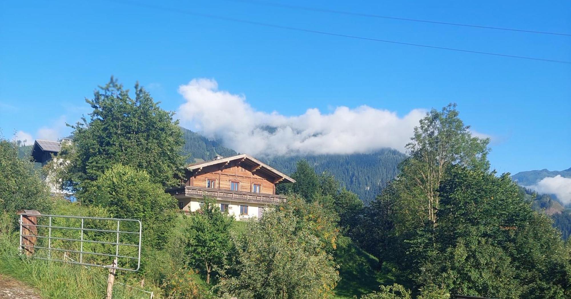 Ferienappartment Hoelzl 蓬高地区圣法伊特 外观 照片