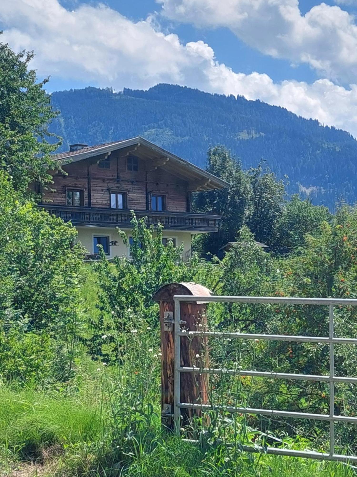 Ferienappartment Hoelzl 蓬高地区圣法伊特 外观 照片